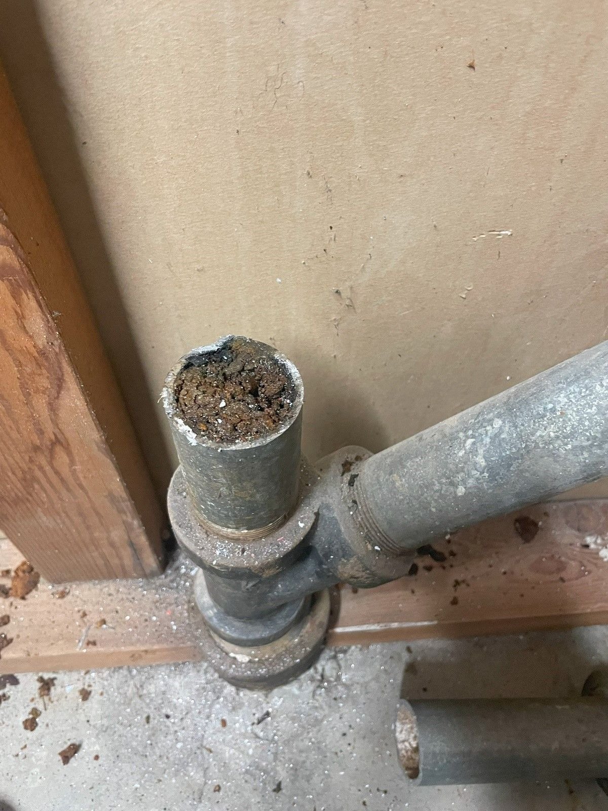 Case Study: Resolving Kitchen Sink Drain Issues in Tacoma WA