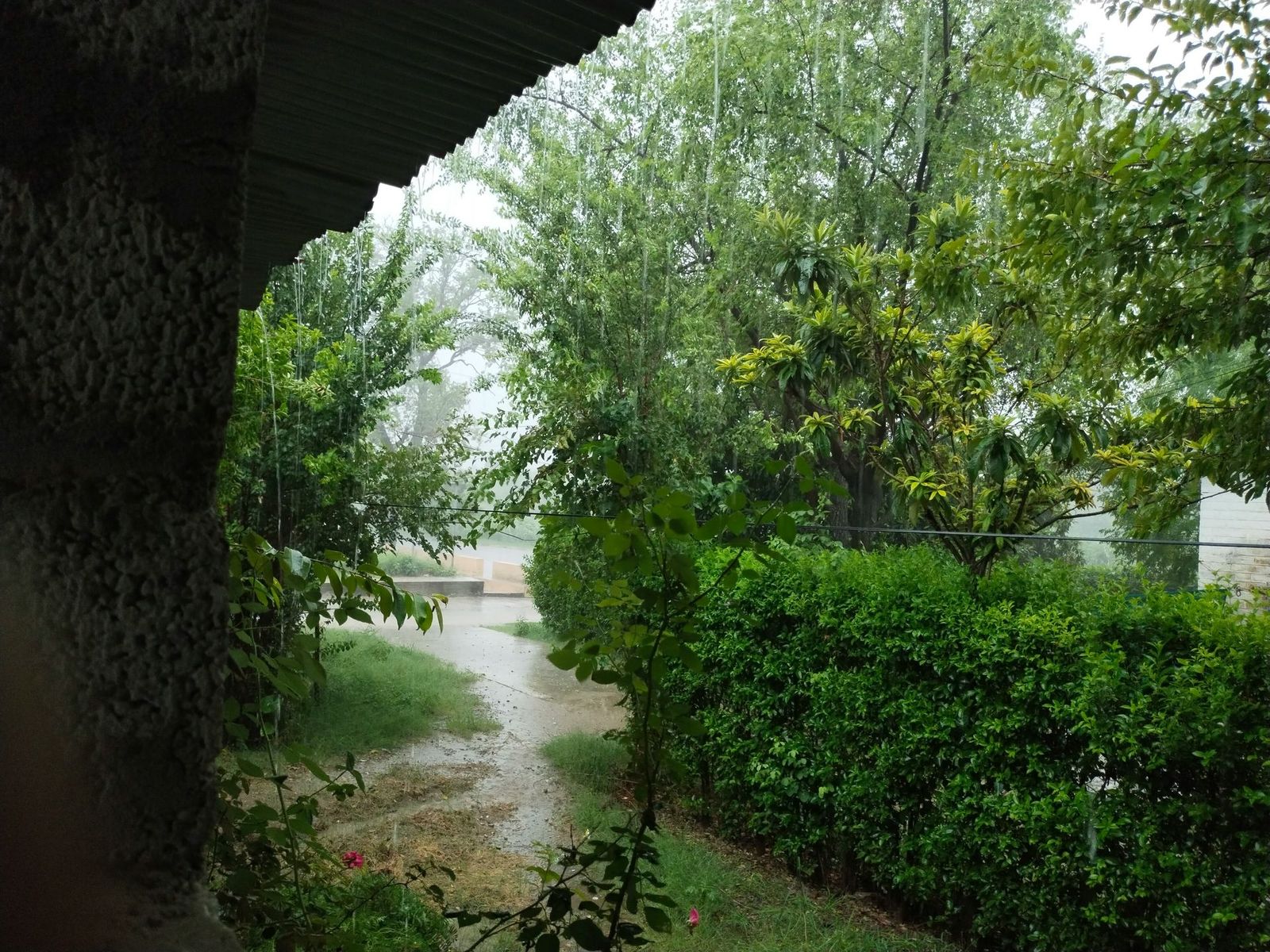 Side Sewers: What Homeowners Are Actually Responsible For