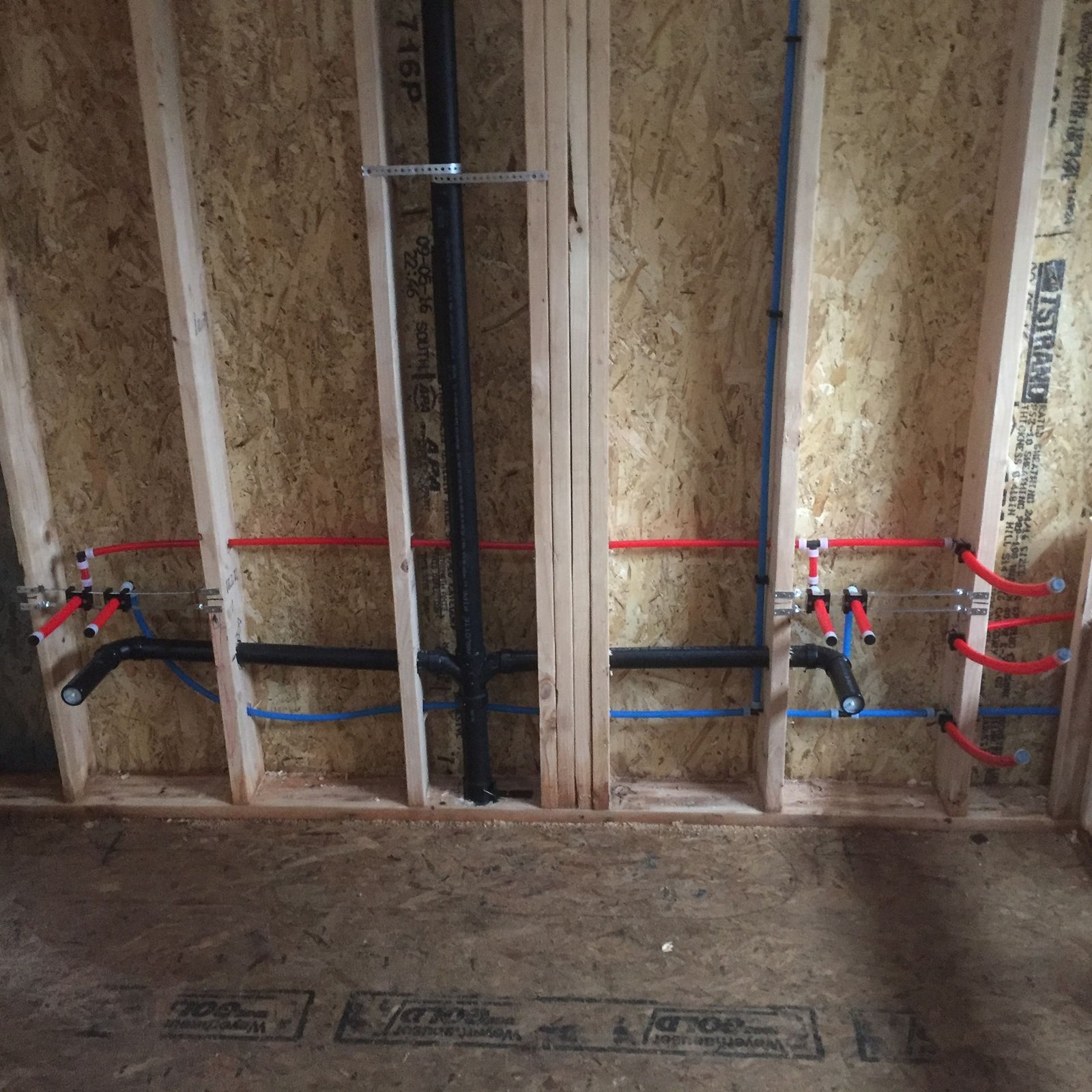 Red and blue PEX stub-outs and an ABS drain line on an open stud wall