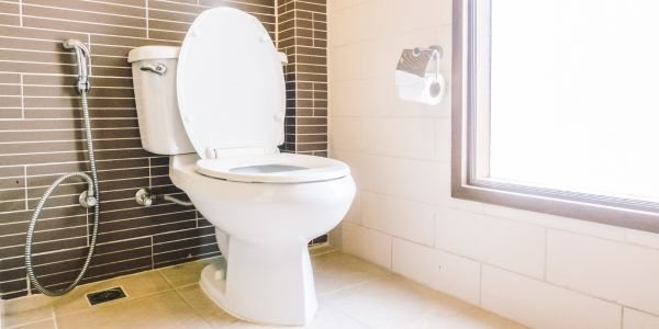 Toilet Repair & Replacement by Royal Flush Plumbing